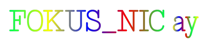 Dein personalisiertes NEON-LED Schild: FOKUS_NIC ay